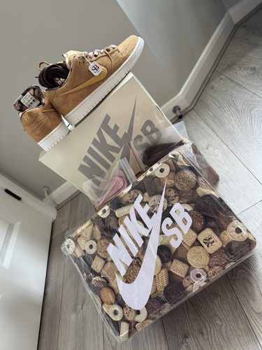 Brand new special - nike, sb