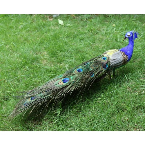 Vivid artificial taxidermy - vivid,