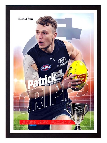Framed 2024 carlton blues afl - blues,