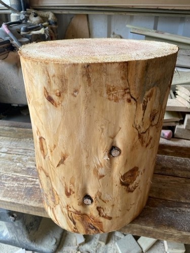 Rustic log stump trunk - log, stump/trunk