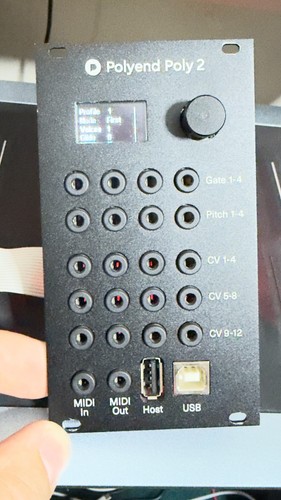 Polyend poly eurorack - polyend,