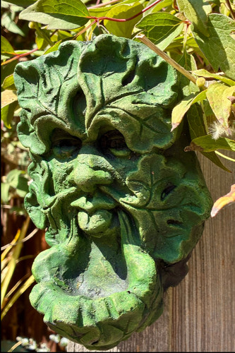 Green man wall plaque - , bird