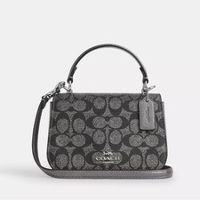 Silver and Black Mini Coach