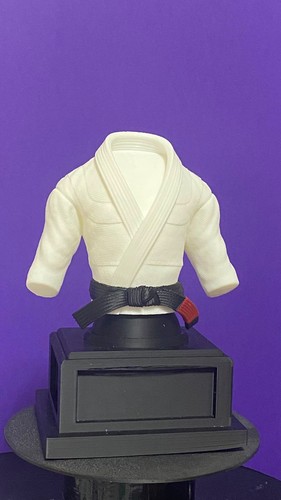 Printed jiu jitsu belt - 3d,