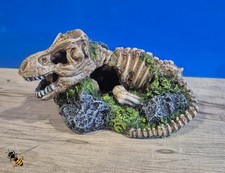 Aquarium ornament dinosaur - aquarium,