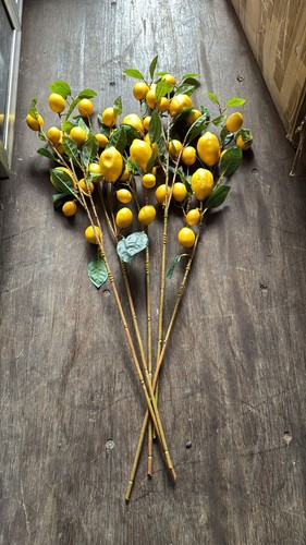Pcs fake lemon - 2,