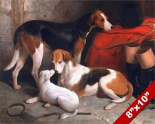 FOX HOUNDS AND TERRIER HUNTING