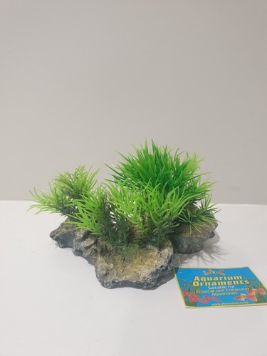 Fish fun aquarium - r, plant