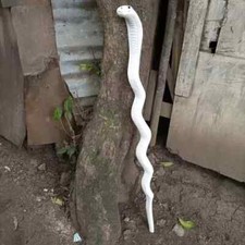 White Cobra Snake Handle Hand