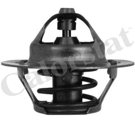 Thermostat coolant fits - thermostat,