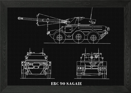 Erc sagaie framed wall art - erc,