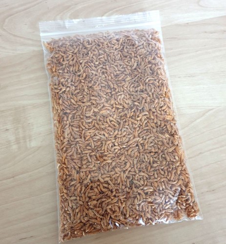Freeze dried gammarus - freeze, 50g