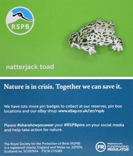 Rspb pin badge - pin,