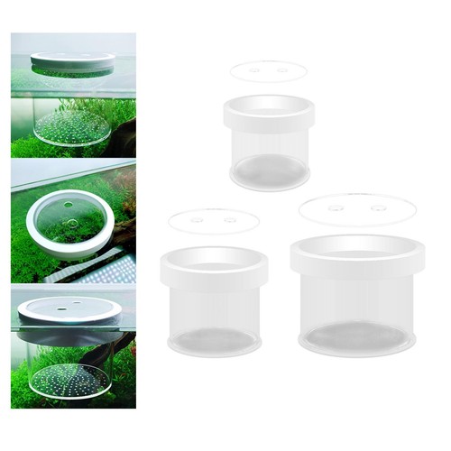 Fish breeder box floating - box,