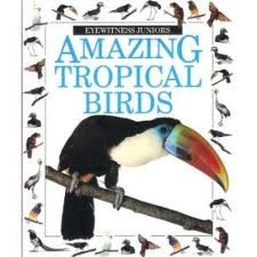 Amazing tropical birds - amazing,