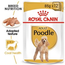 ROYAL CANIN Poodle Adult Wet