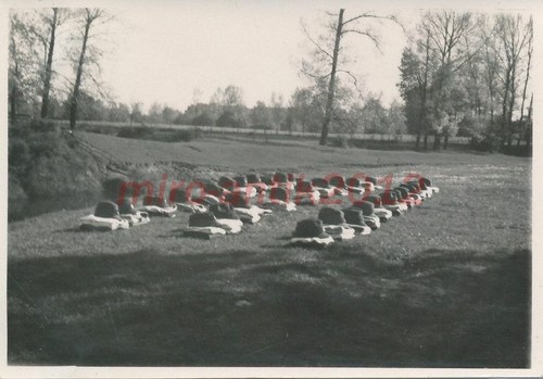 Photo 163 - photo,, 5/163