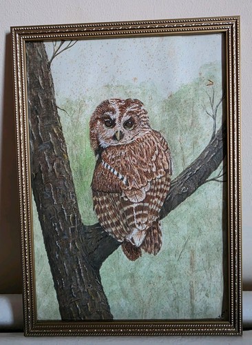 Vintage detailed owl wildlife - vintage,