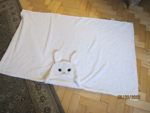 Small child fleece blanket - child's,
