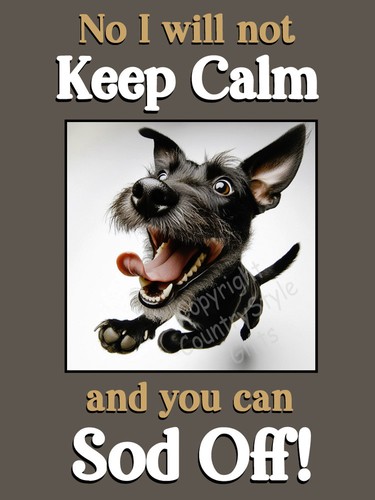 Patterdale terrier funny - patterdale,
