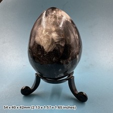 Orthoceras Polished Fossil Egg