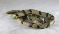 36cm COILED BANDED SNAKE MODEL