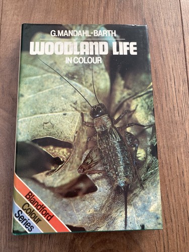Woodland life book mandahl - woodland,