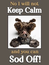 Cocker Sprocker Spaniel Brown