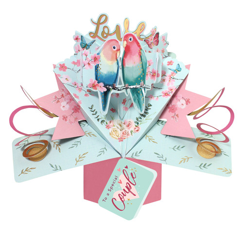 Love birds special - to, a