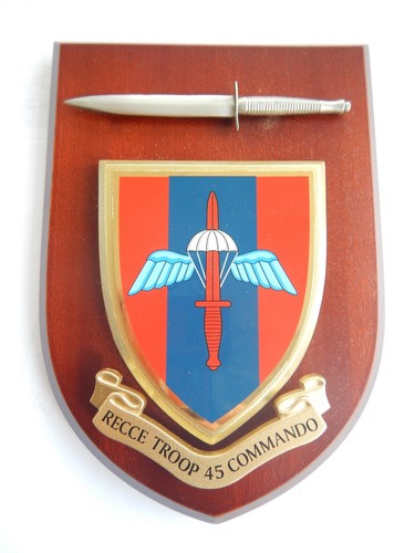 Commando recce troop royal - commando,