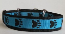 Martingale Dog Collar Blue Paw