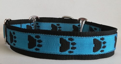 Martingale dog collar blue - dog, paw
