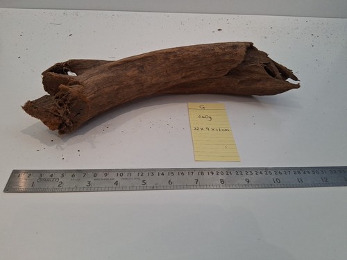 Bogwood driftwood aquascaping - bogwood,