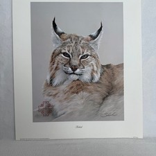 Bobcat