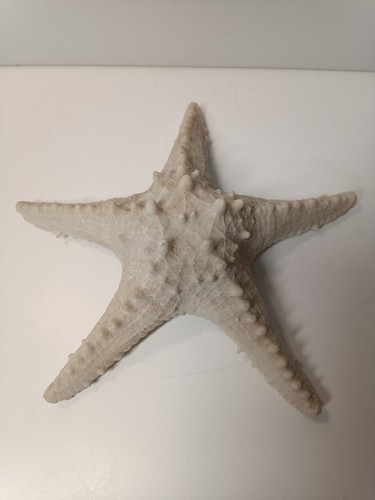 Vintage decorative knobbly - decorative,