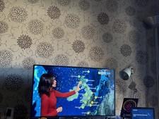 Roku Polaroid Tv Model Number