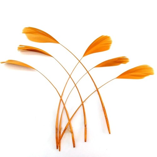 Long fascinators feathers - long,