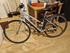 Diamond Back Racing Apex