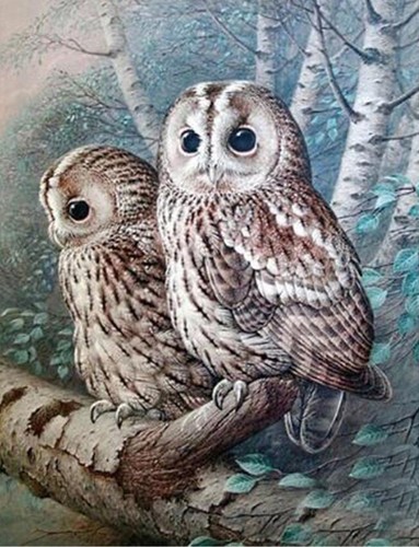Owl cross stitch - (6), pattern