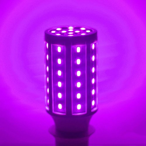 Small leds corn bulb - corn,