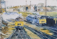 Western Class 52 Locomotives