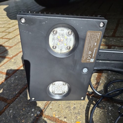 Hydra with bracket - ai,