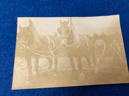 Vintage postcard farming - vintage,