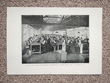 Cigar Manufacturing at Salmon