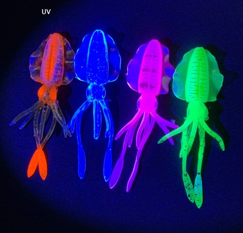 Sea fishing lure squid - sea,