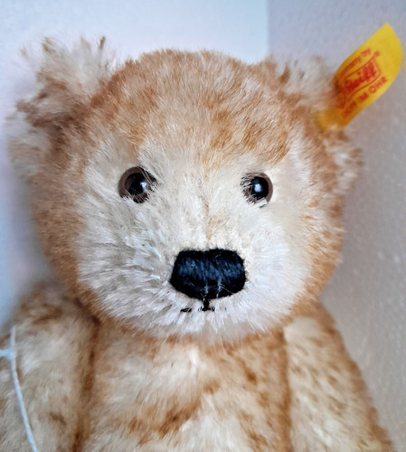 Steiff bear replica petsy 1928 - bear,