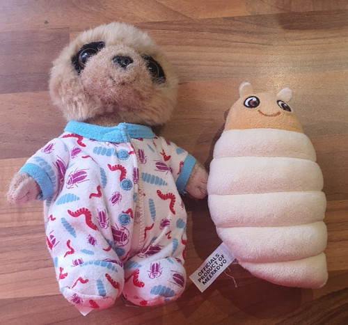Compare the market meerkat - the,