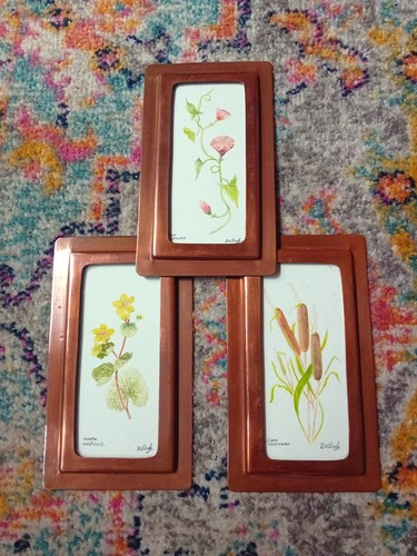 Vintage signed botanical - signed,