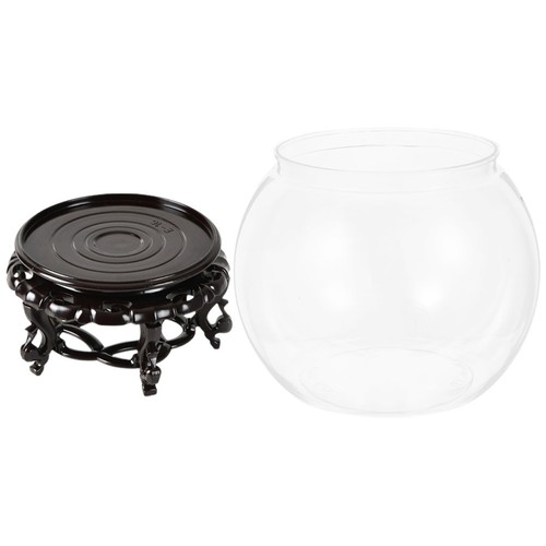 Beginner fish tank clear - beginner,