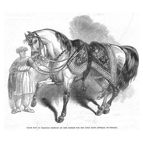 State horse harness for the - for,